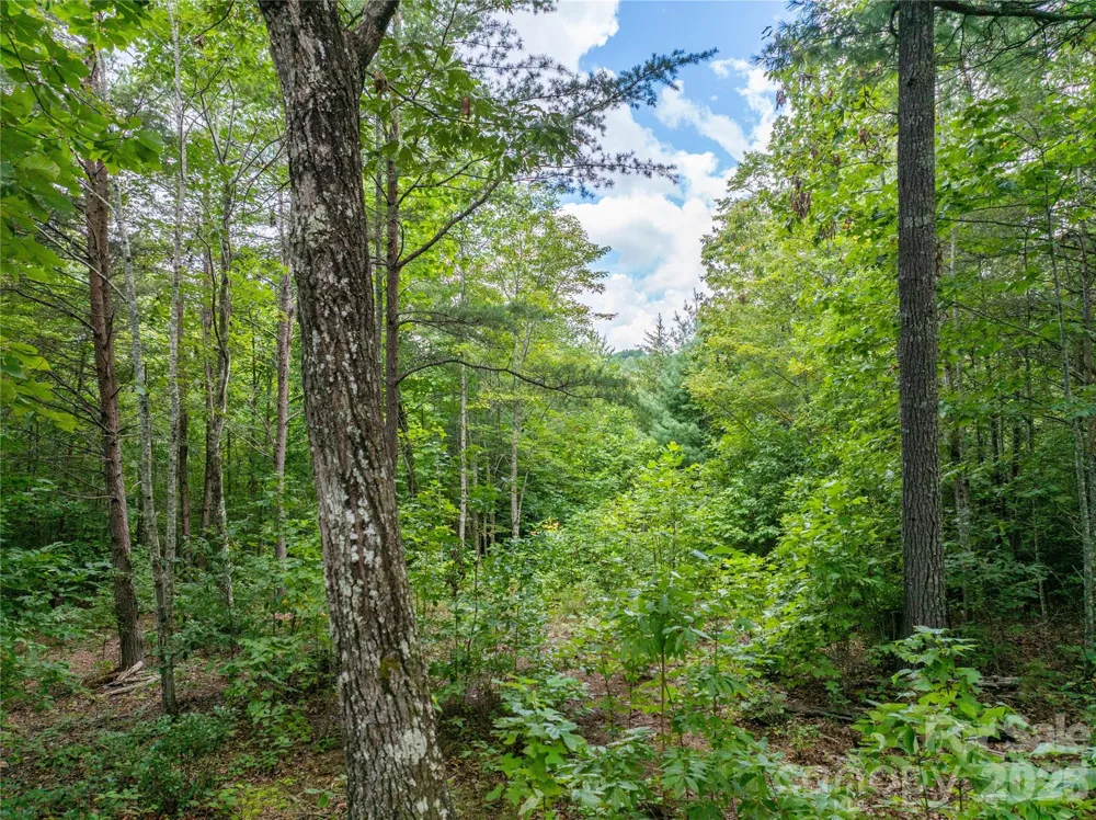 5.5 Acres Dogwood Way #840a Lenoir, NC 28645