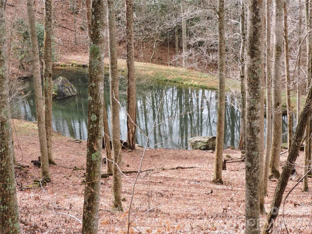 191 Bens Bend Bakersville, NC 28705