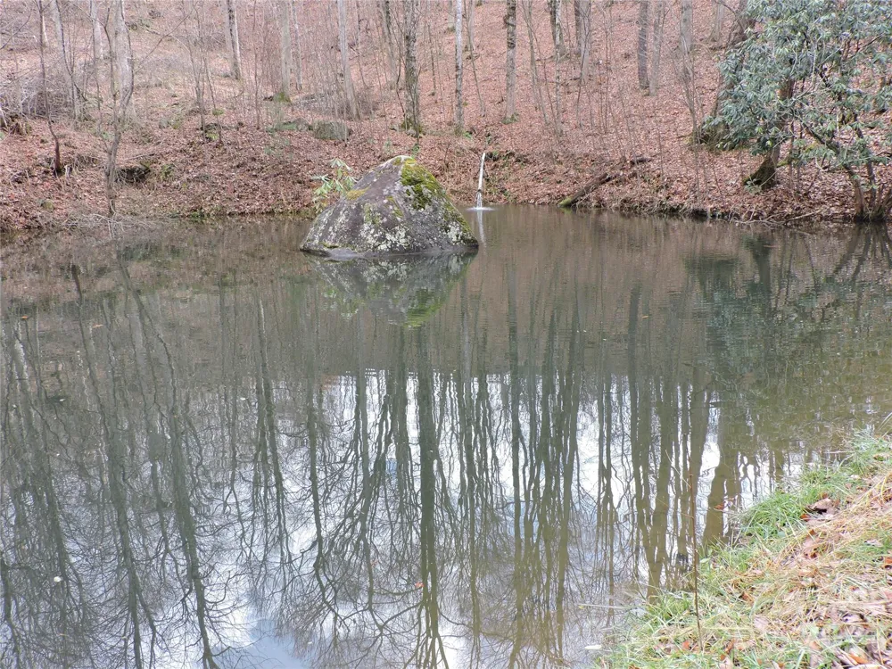 191 Bens Bend Bakersville, NC 28705