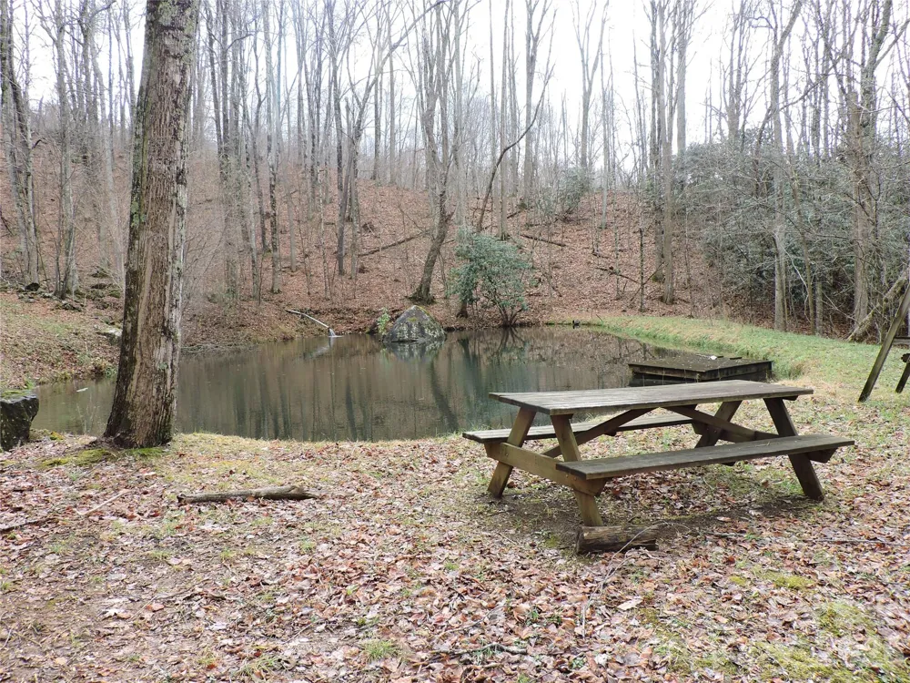 191 Bens Bend Bakersville, NC 28705