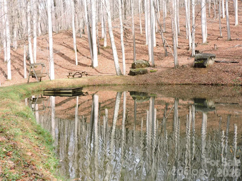 191 Bens Bend Bakersville, NC 28705