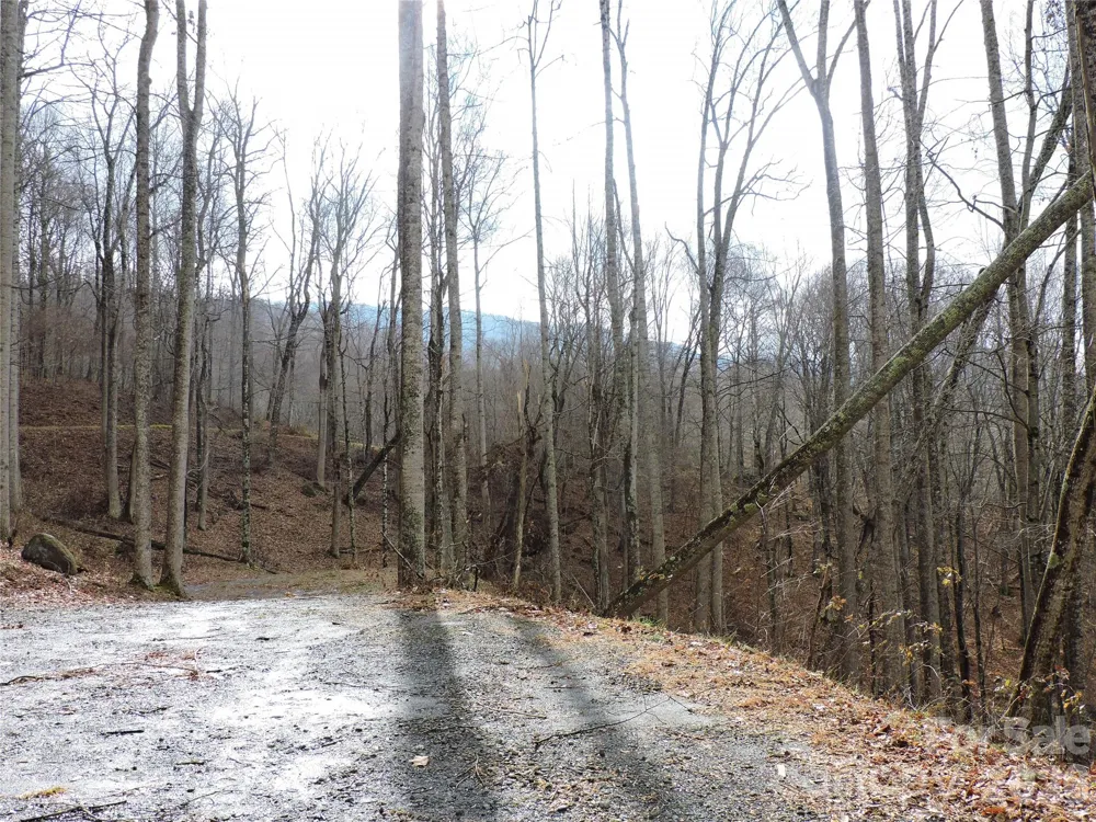 191 Bens Bend Bakersville, NC 28705