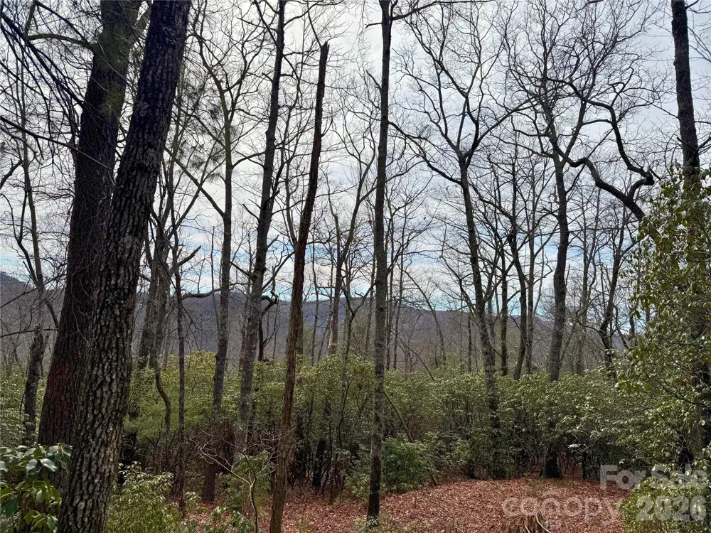 TBD Laurel Thicket Lane Brevard, NC 28712