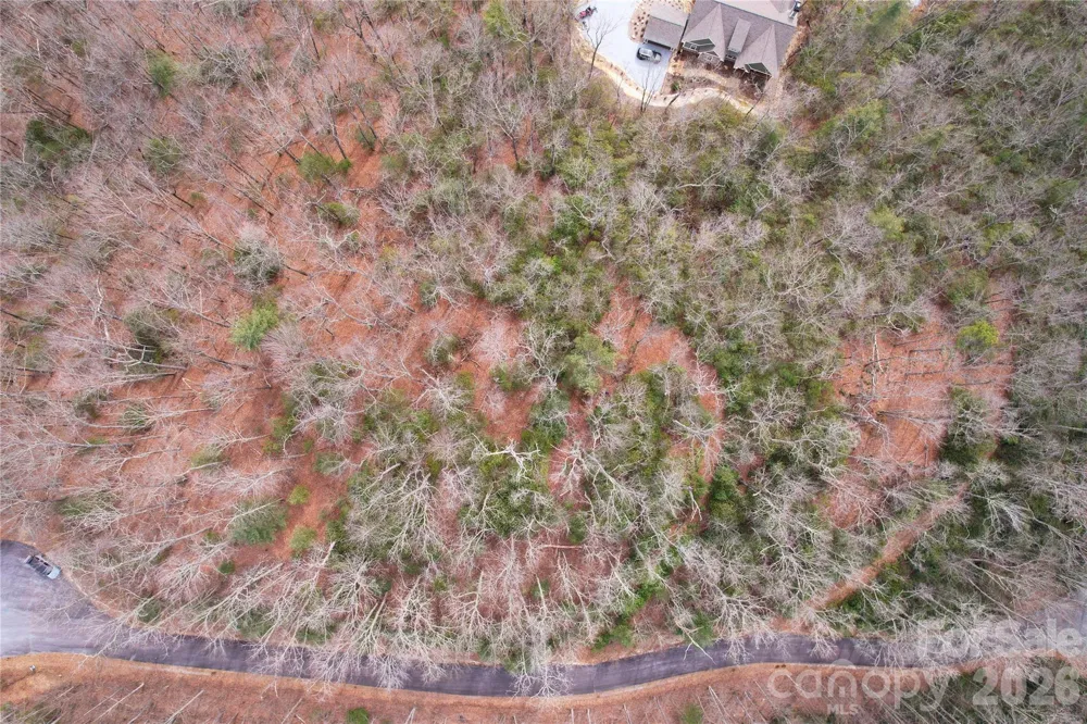 TBD Laurel Thicket Lane Brevard, NC 28712