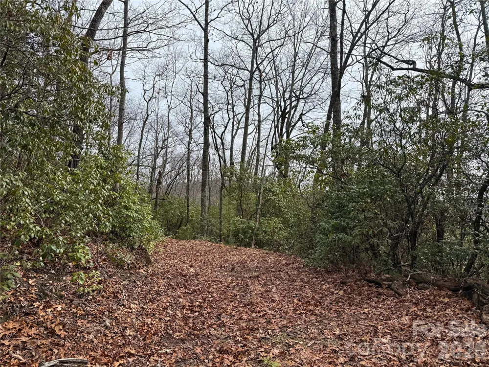 TBD Laurel Thicket Lane Brevard, NC 28712