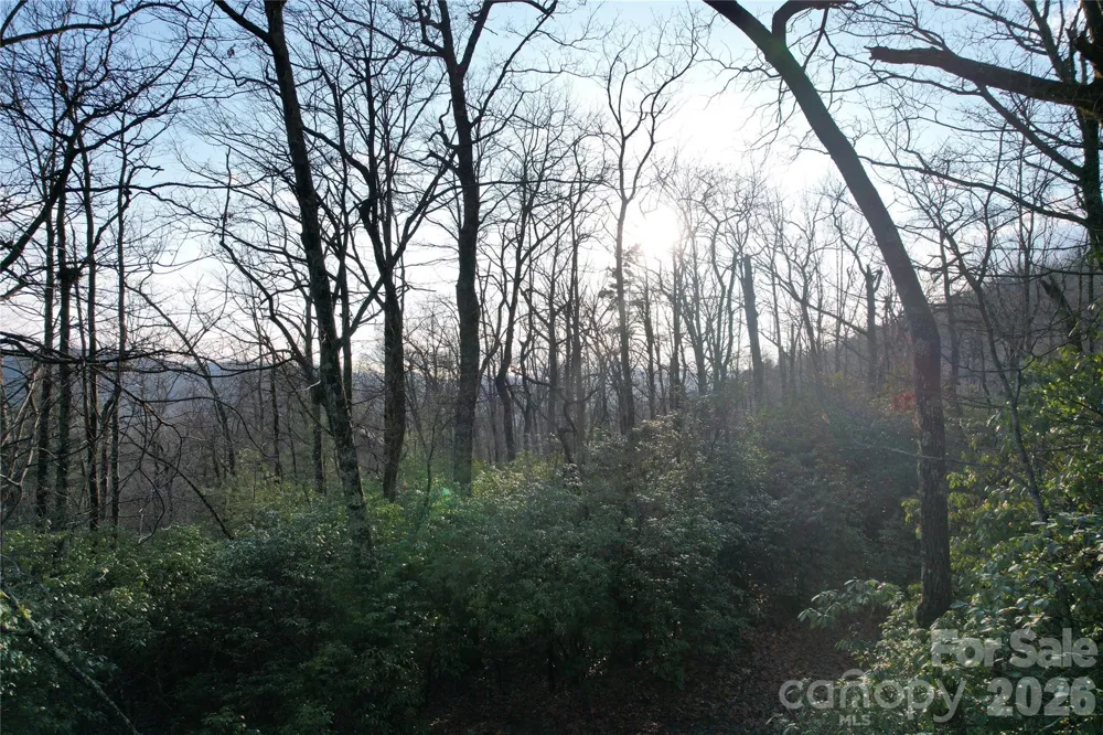 TBD Laurel Thicket Lane Brevard, NC 28712