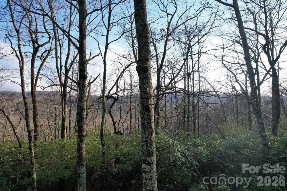 TBD Laurel Thicket Lane Brevard, NC 28712