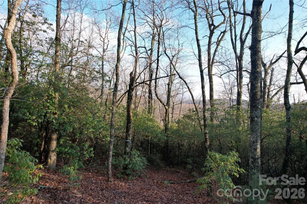 TBD Laurel Thicket Lane Brevard, NC 28712
