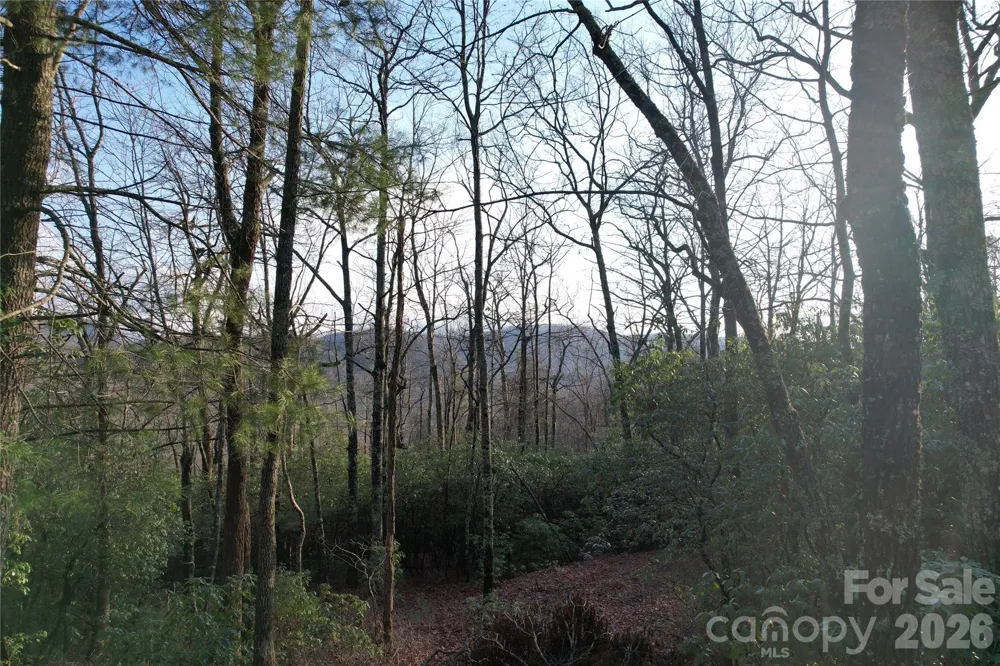 TBD Laurel Thicket Lane Brevard, NC 28712