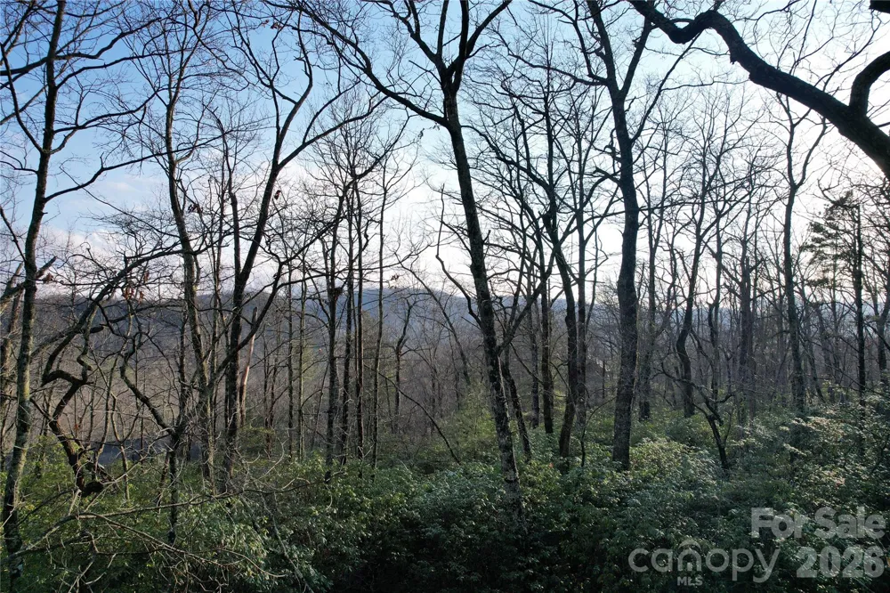 TBD Laurel Thicket Lane Brevard, NC 28712