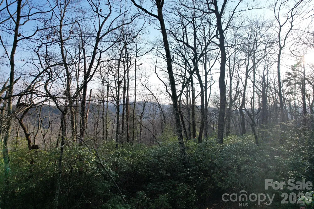 TBD Laurel Thicket Lane Brevard, NC 28712