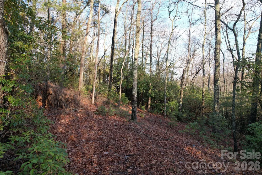 TBD Laurel Thicket Lane Brevard, NC 28712