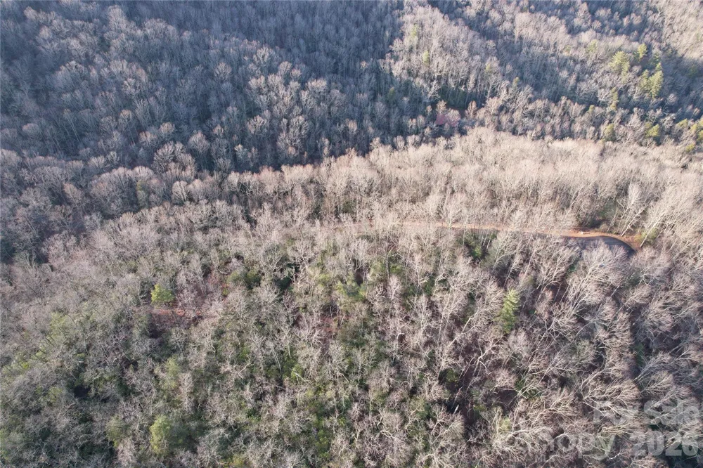 TBD Laurel Thicket Lane Brevard, NC 28712