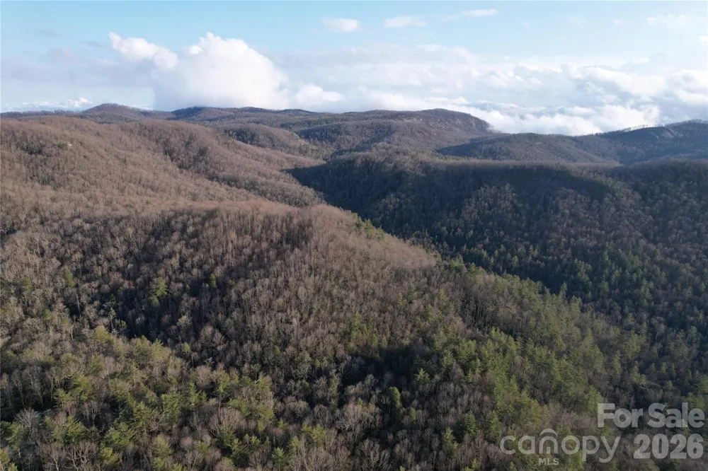 TBD Laurel Thicket Lane Brevard, NC 28712