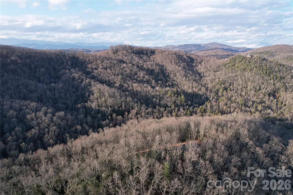 TBD Laurel Thicket Lane Brevard, NC 28712