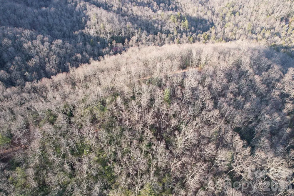 TBD Laurel Thicket Lane Brevard, NC 28712