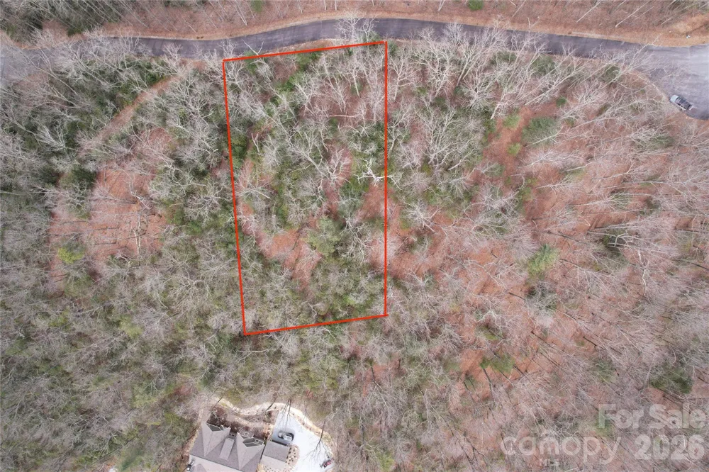 TBD Laurel Thicket Lane Brevard, NC 28712