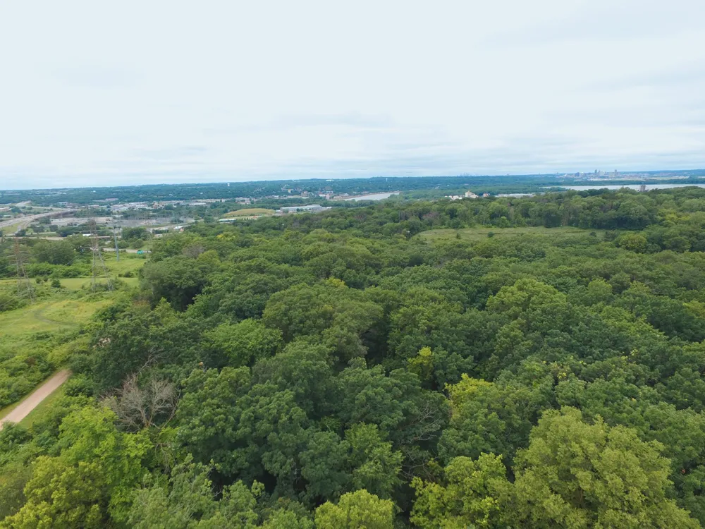 TBD Sterling Street S Maplewood, MN 55119