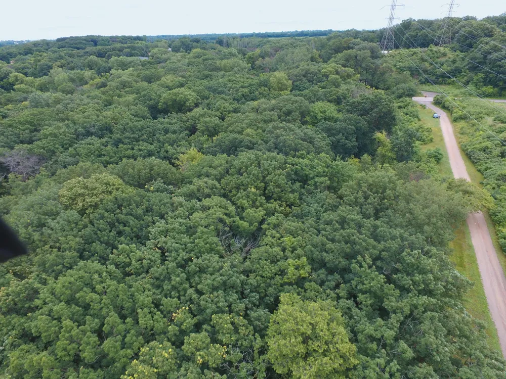 TBD Sterling Street S Maplewood, MN 55119