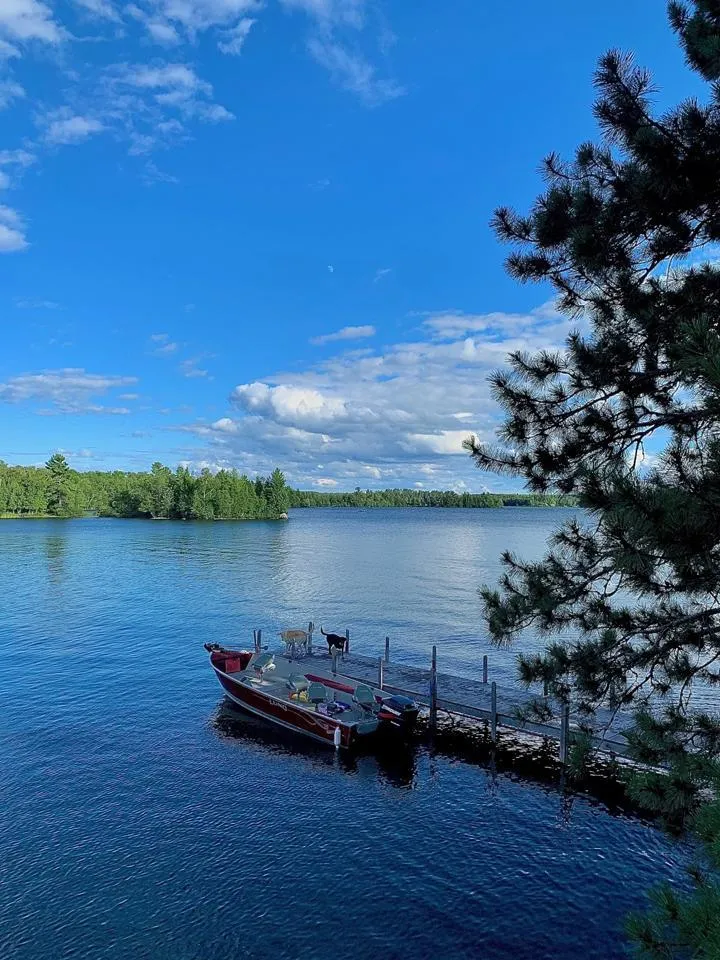8481 Wakemup Narrows North Cook, MN 55771