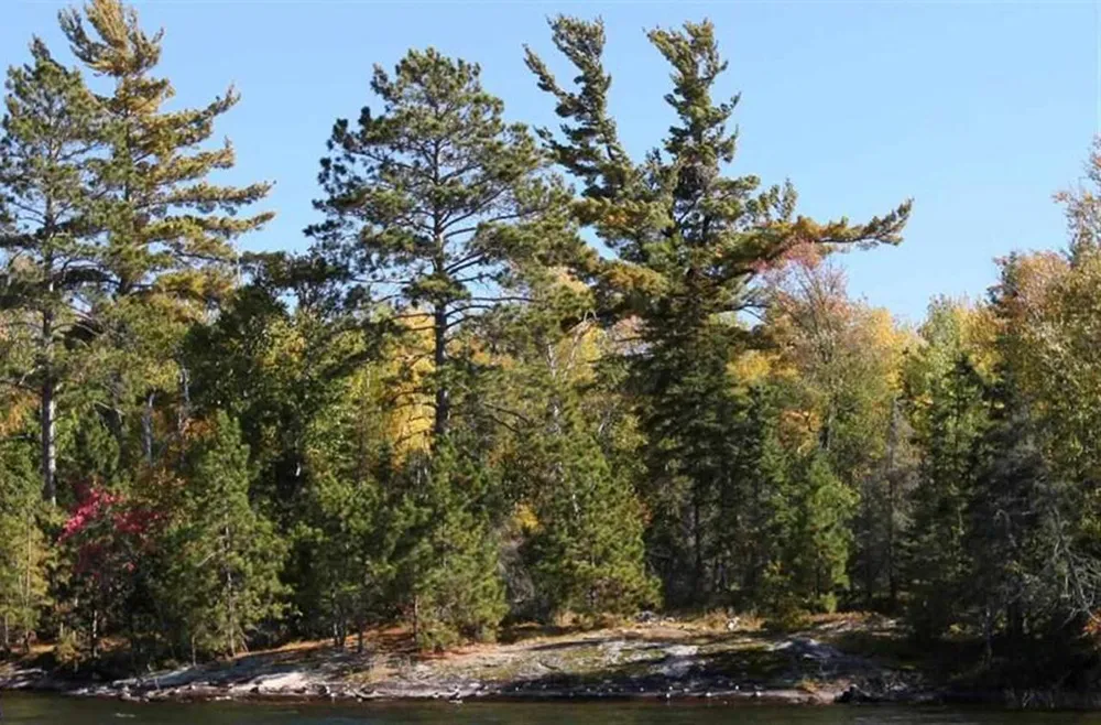 8481 Wakemup Narrows North Cook, MN 55771