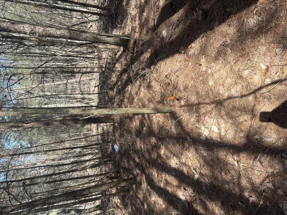 Crockett Point Sequatchie, TN 37374