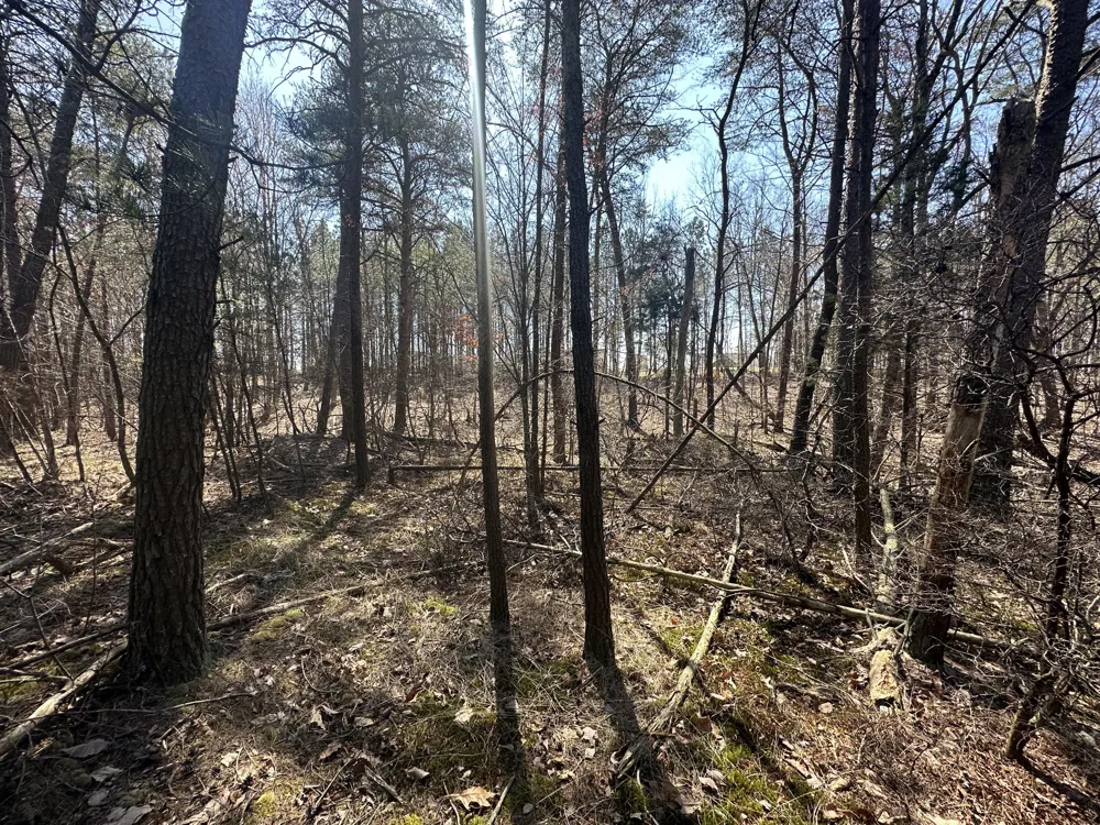 Crockett Point Sequatchie, TN 37374