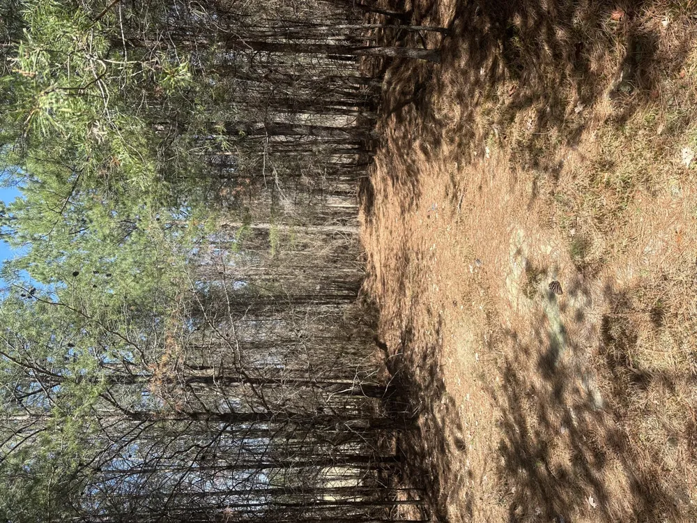 Crockett Point Sequatchie, TN 37374