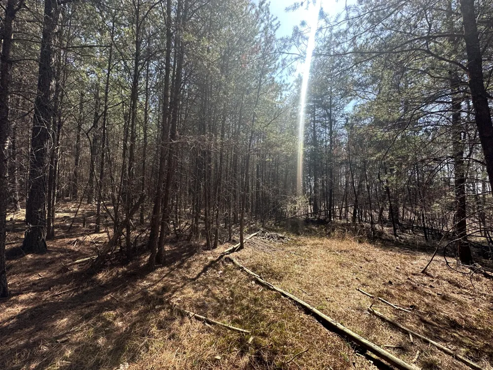 Crockett Point Sequatchie, TN 37374