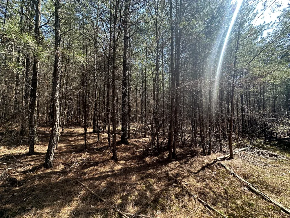 Crockett Point Sequatchie, TN 37374