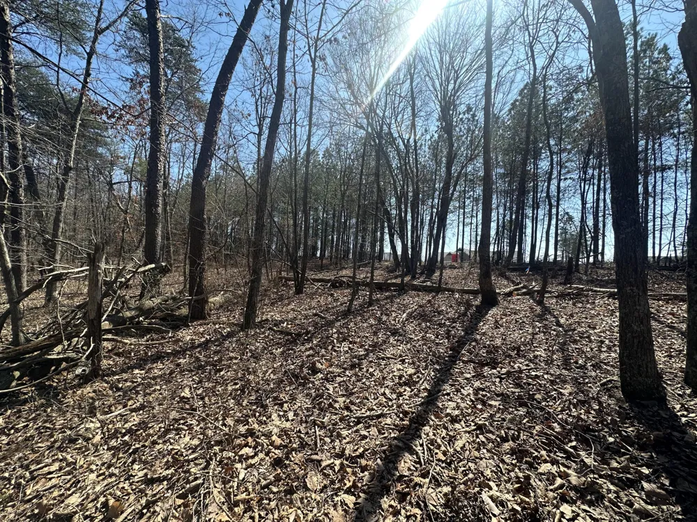 Crockett Point Sequatchie, TN 37374