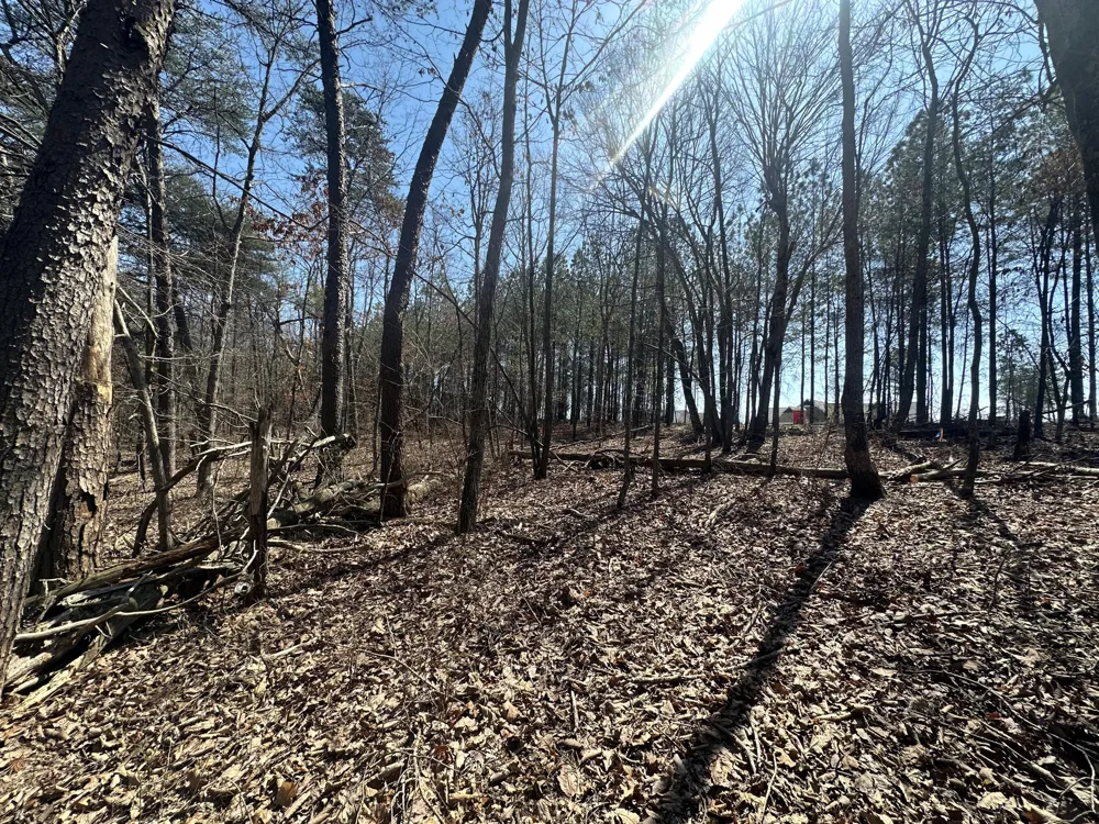 Crockett Point Sequatchie, TN 37374