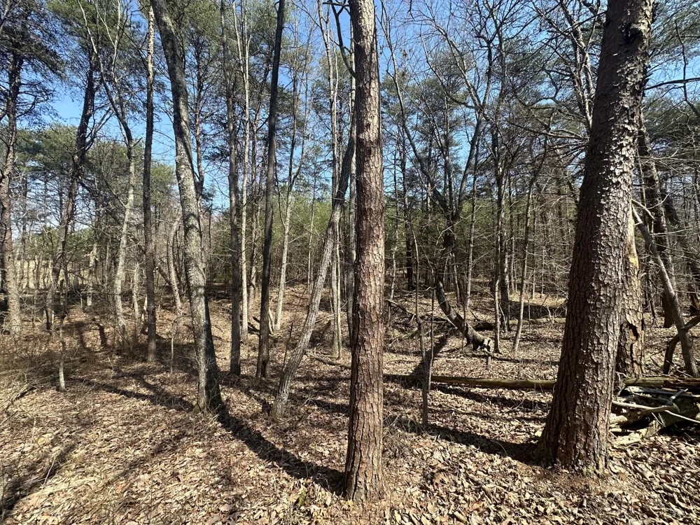 Crockett Point Sequatchie, TN 37374