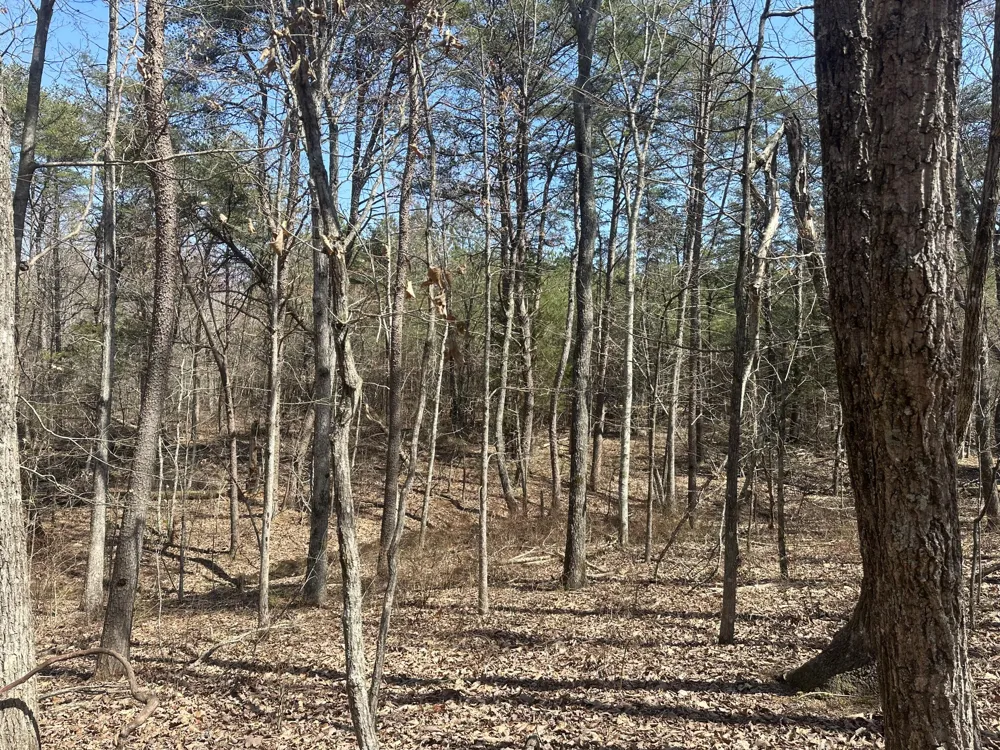 Crockett Point Sequatchie, TN 37374