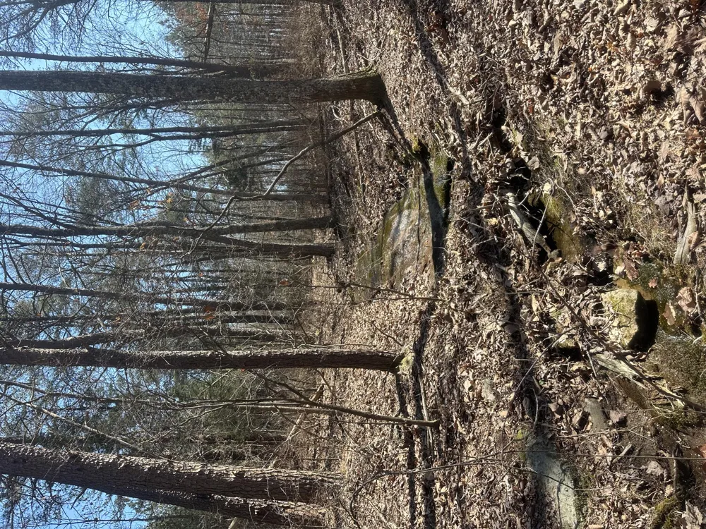 Crockett Point Sequatchie, TN 37374