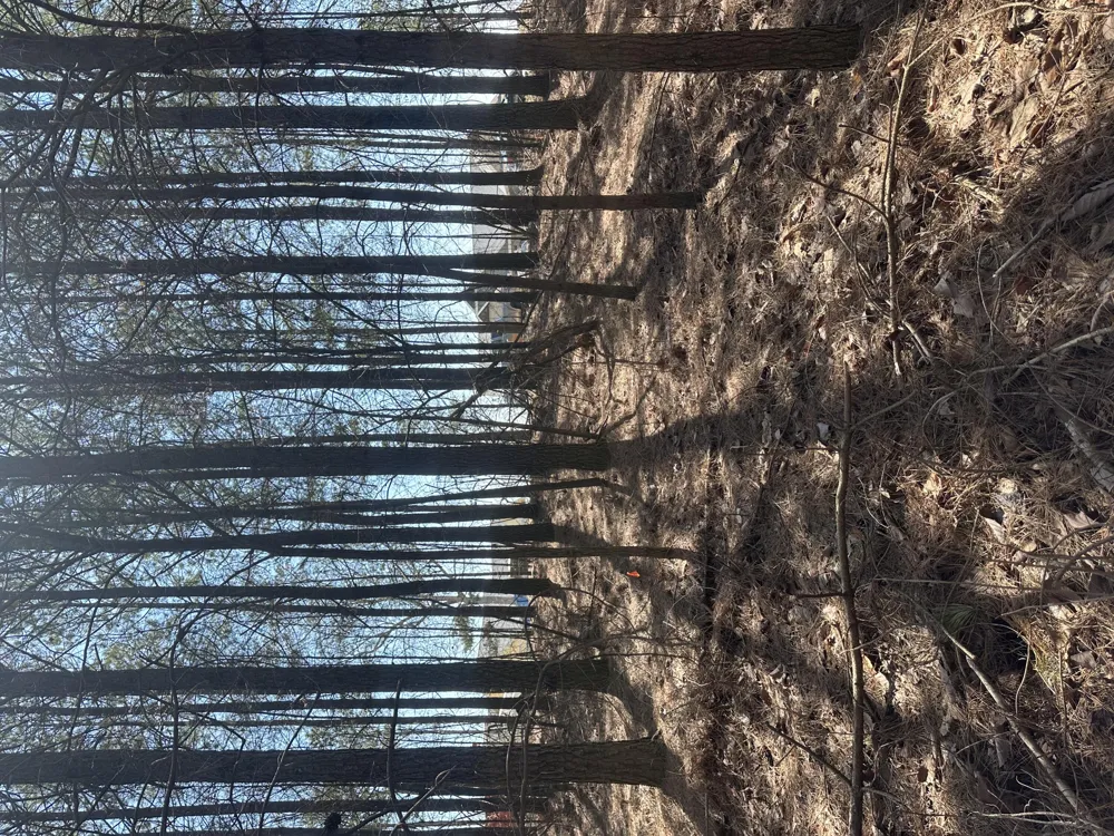Crockett Point Sequatchie, TN 37374