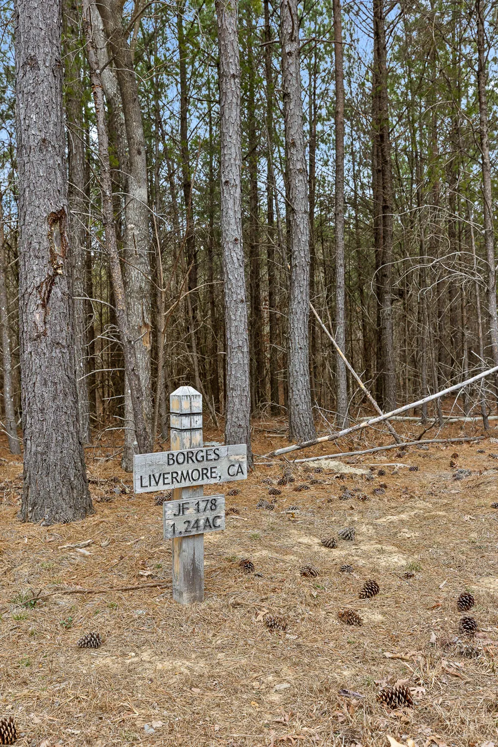 Crockett Point Sequatchie, TN 37374