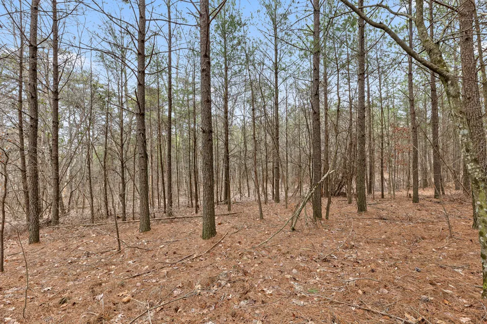 Crockett Point Sequatchie, TN 37374