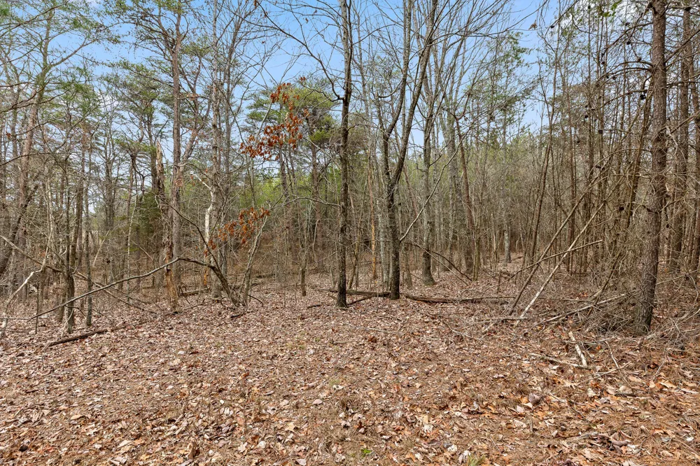 Crockett Point Sequatchie, TN 37374