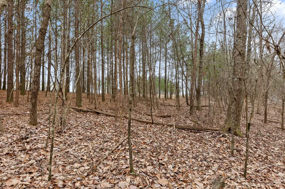 Crockett Point Sequatchie, TN 37374