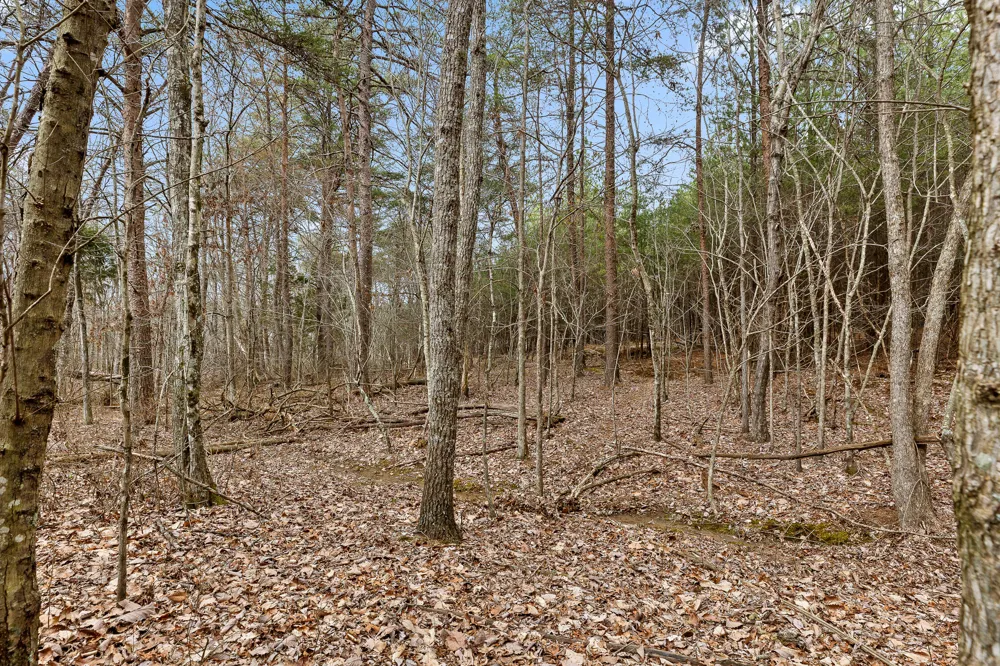 Crockett Point Sequatchie, TN 37374