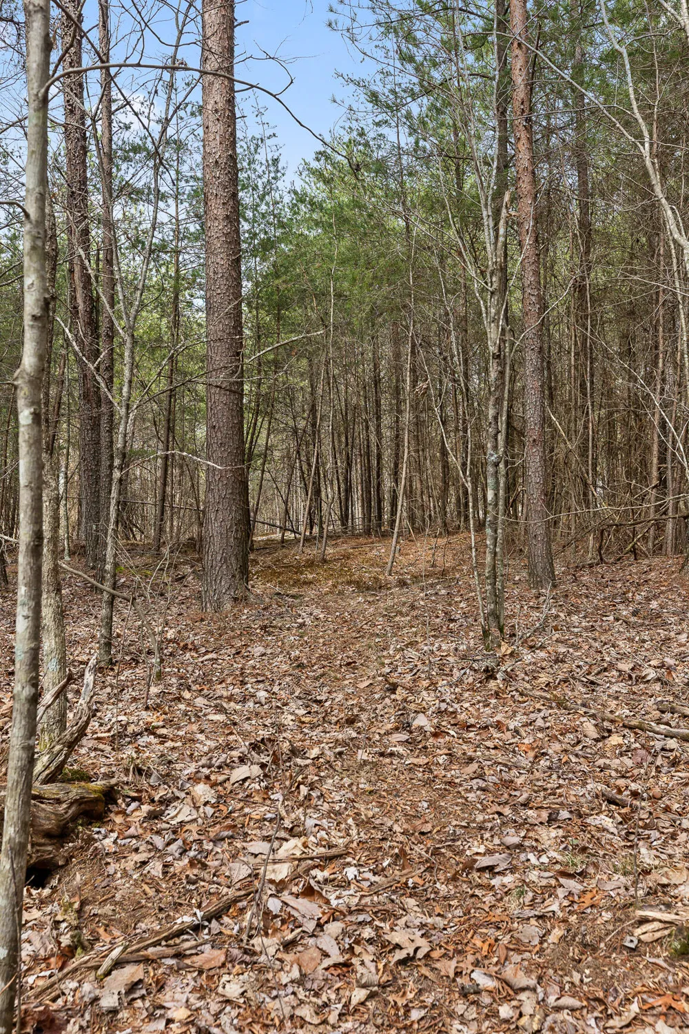Crockett Point Sequatchie, TN 37374