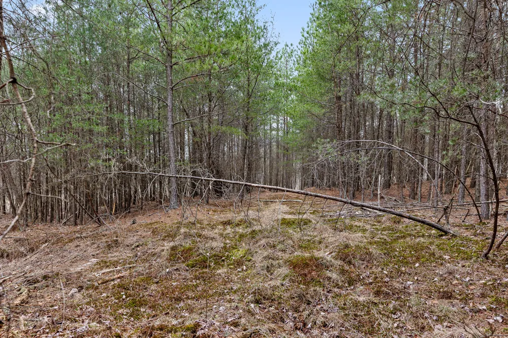 Crockett Point Sequatchie, TN 37374