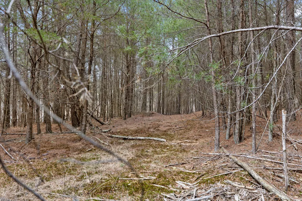 Crockett Point Sequatchie, TN 37374