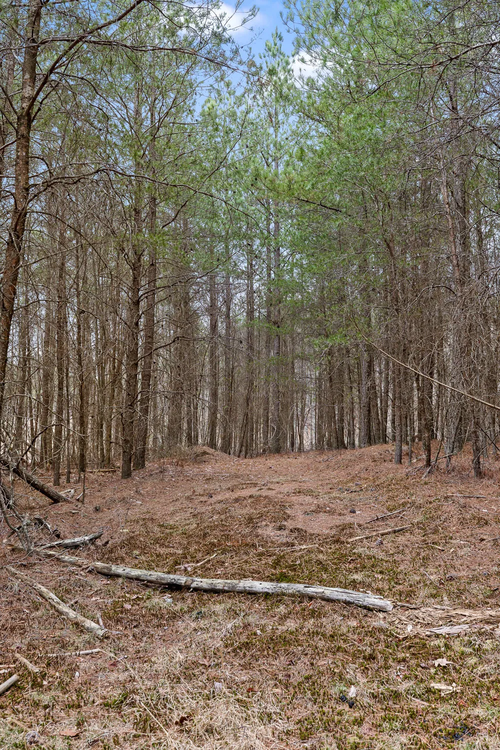 Crockett Point Sequatchie, TN 37374