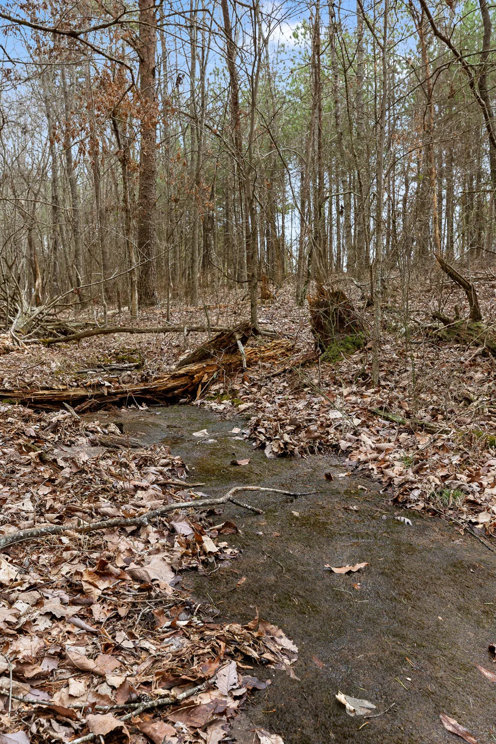 Crockett Point Sequatchie, TN 37374