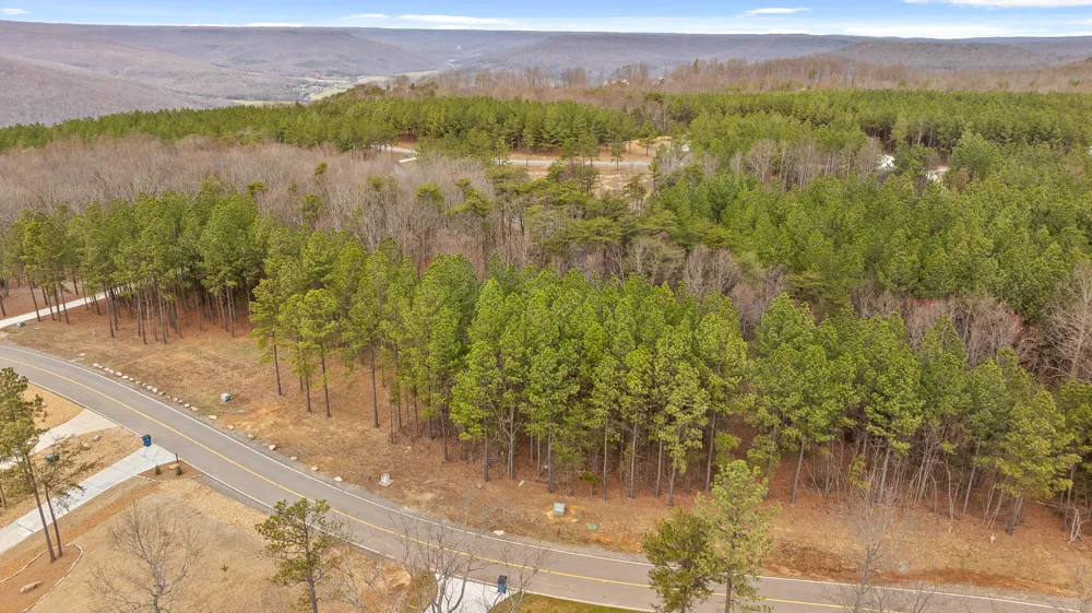 Crockett Point Sequatchie, TN 37374