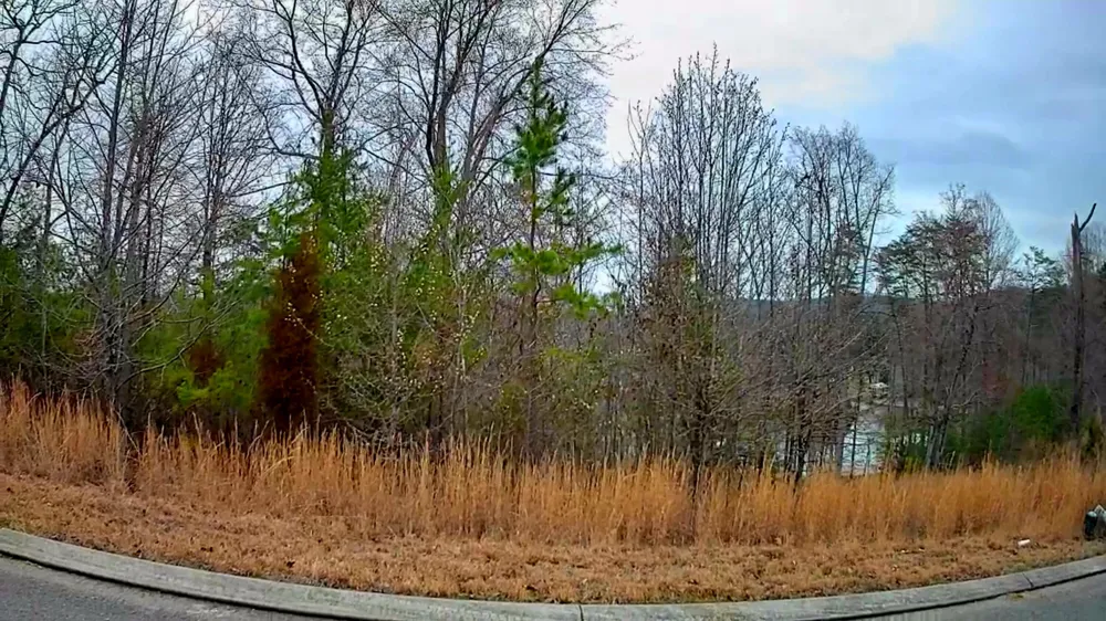 Spring Cove Lane Spring City, TN 37381