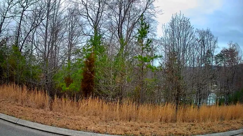 Spring Cove Lane Spring City, TN 37381