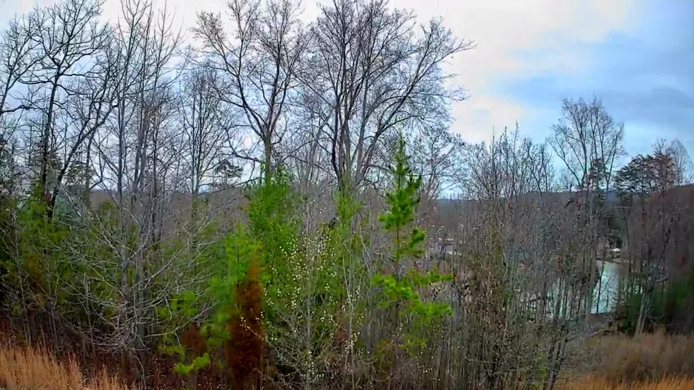 Spring Cove Lane Spring City, TN 37381
